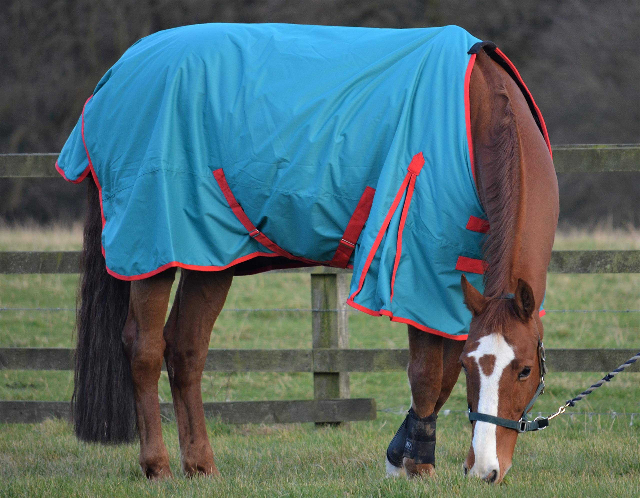 Lightweight 100g Fill Waterproof Turnout Rug for Horses & Shetland Ponies - Perfect for Outdoor Riding, Stable Use & All-Weather Protection