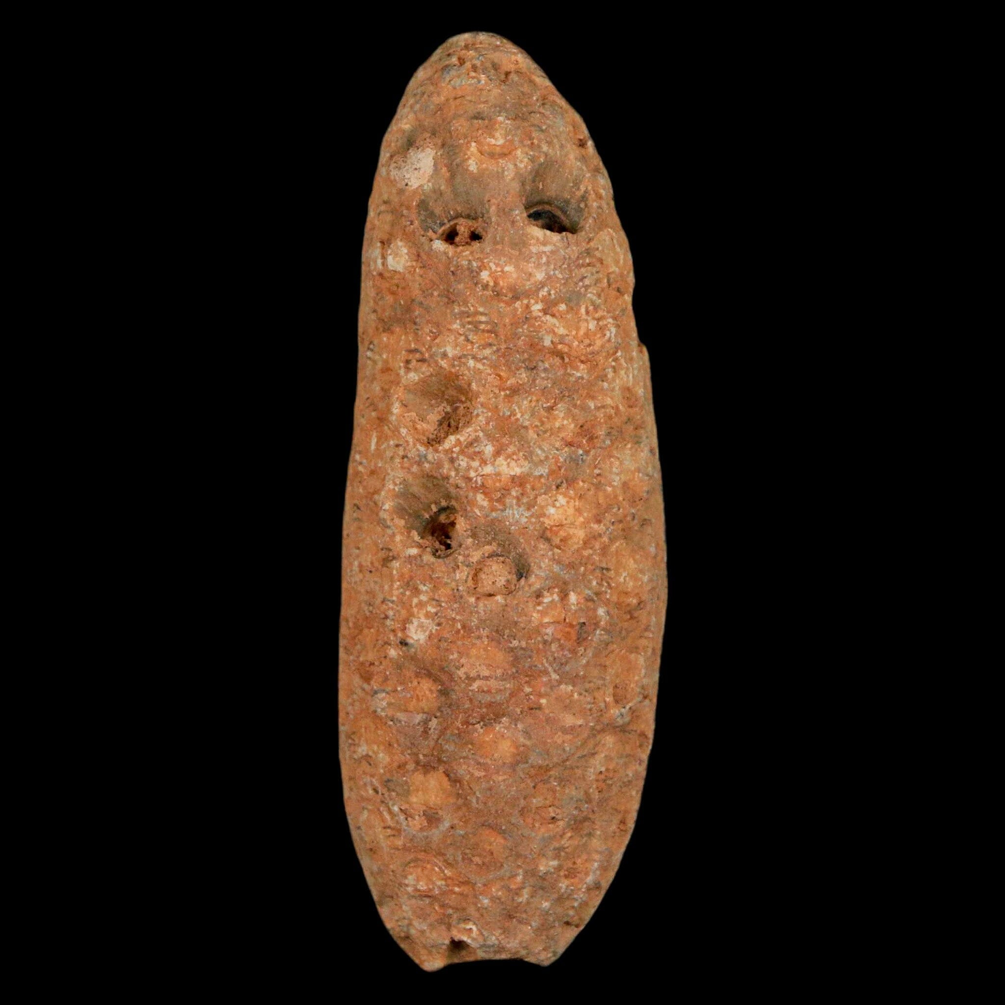 XL 2.3 Fossil Pine Cone Equicalastrobus Replaced By Agate - Eocene Age Seeds Fruit Specimen for Collectors & Home Decor | Perfect for Geology Displays, Fossil Collections & Natural History Decor