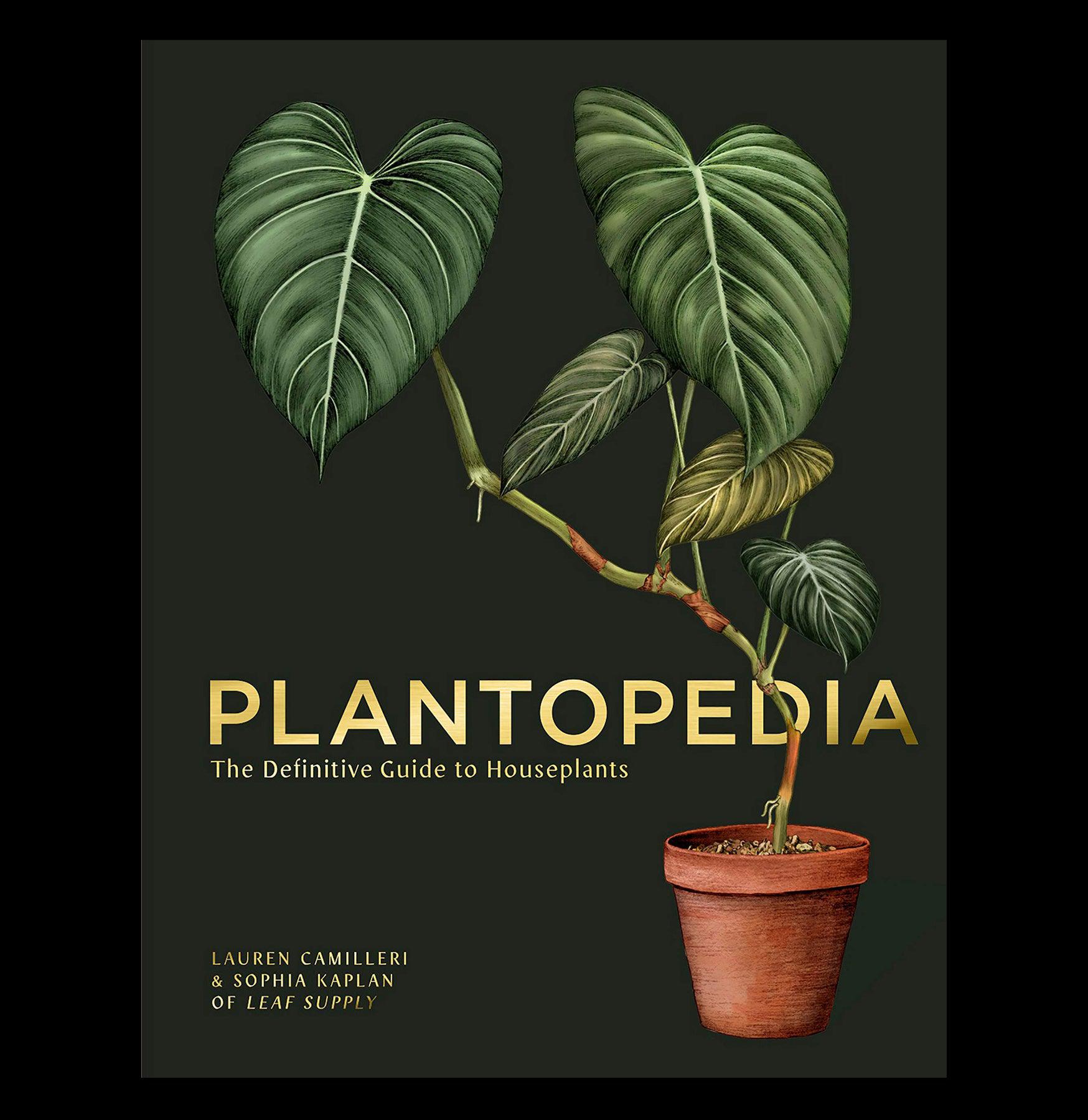 Plantopedia: The Definitive Guide to Houseplants - Indoor Gardening Tips & Care for Beginners | Perfect for Home Decor, Office Plants & Gift Ideas