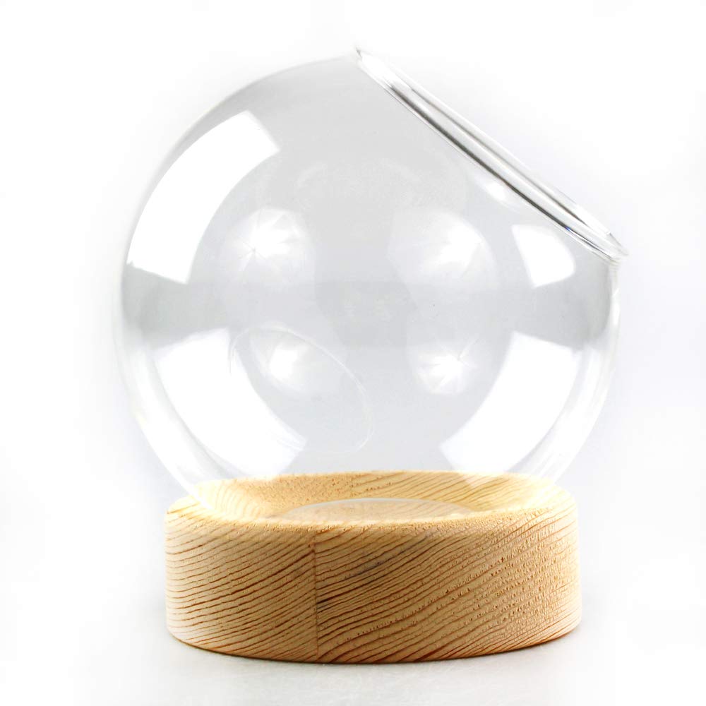 Premium Glass Dome Terrarium with Wood Base - Ideal for Air Plants, Succulents, Mini Gardens & Home Decor - Small Glass Display Case for DIY Crafts, Wedding Centerpieces & Office Desk Decor