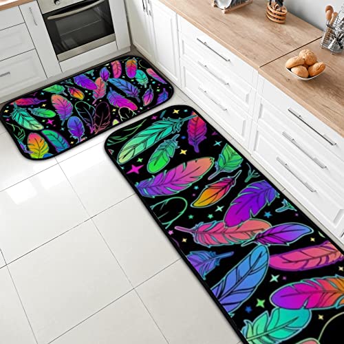 Bright Multicolored Bird Feather