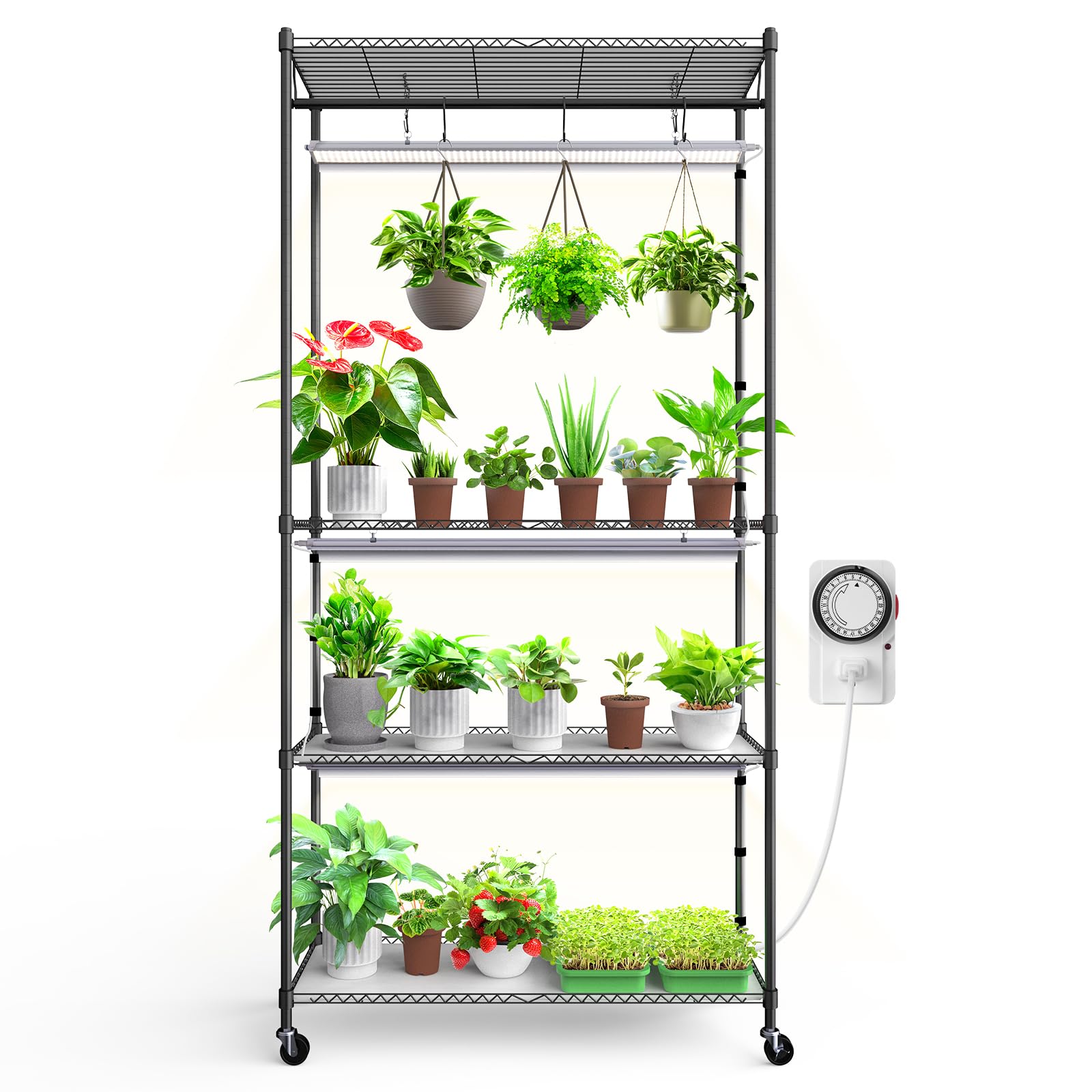 Barrina 3-Tier 35.4