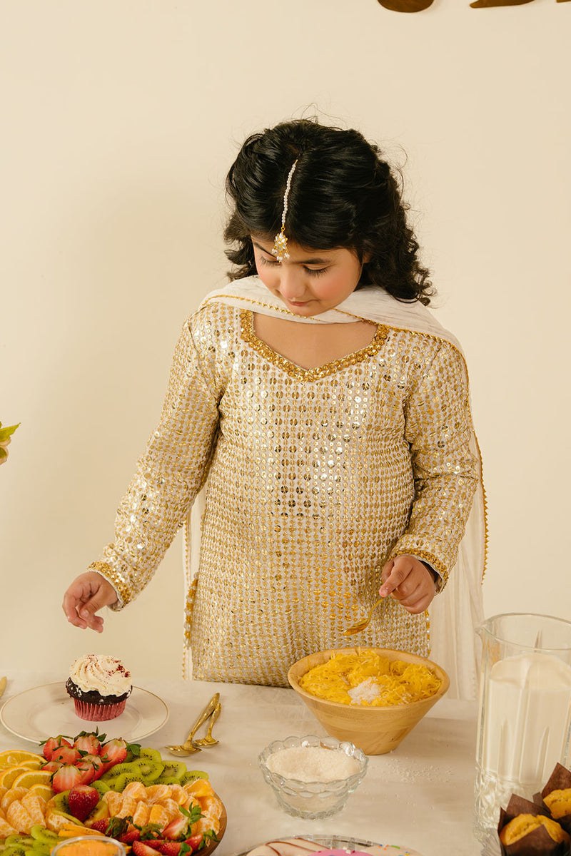 Elegant Chiffon & Raw Silk Off White Stitched Suit for Women | Vanya | Perfect for Weddings, Parties & Special Occasions
