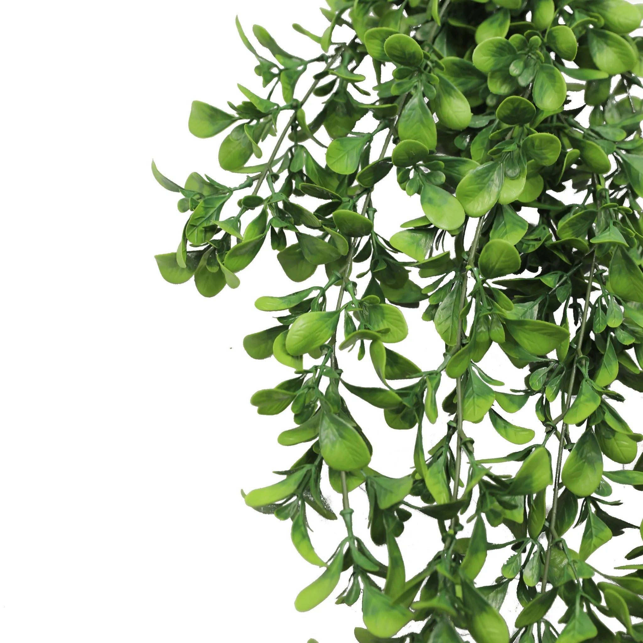 UV & Fire Rated Hanging Creeping Fig Vine - 18cm x 76cm Artificial Green Wall Decor for Indoor/Outdoor Home & Office Decoration