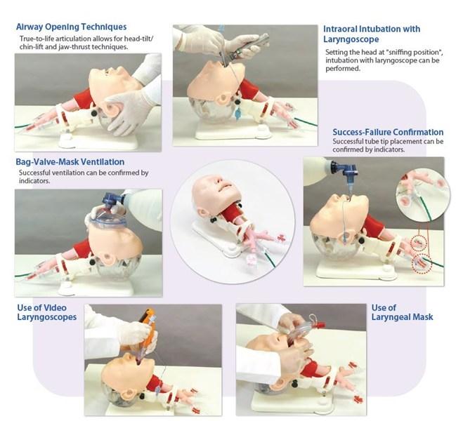 Difficult Airway Management Training Model - High-Fidelity Medical Simulation Manikin for Anesthesia & Emergency Practice - Perfect for Medical Students, Residents, and Healthcare Professionals