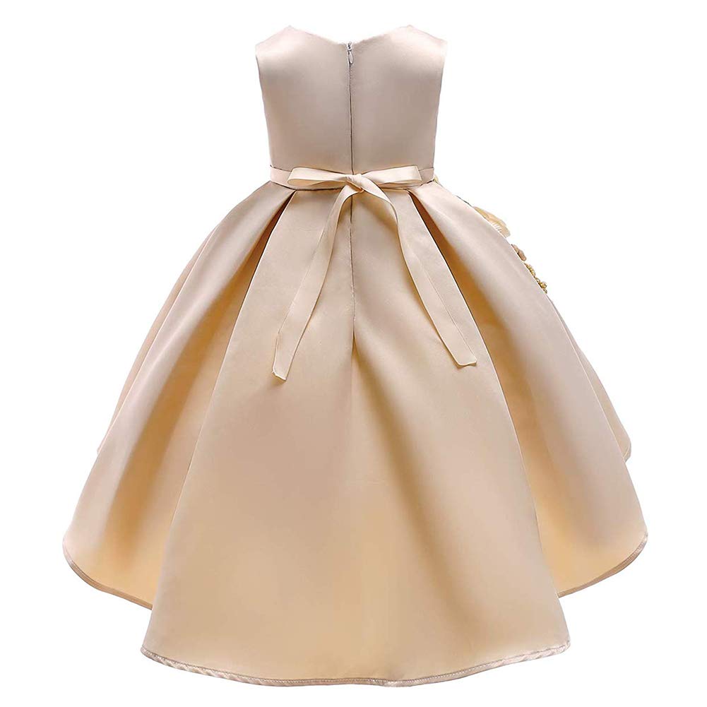 Princess Party Dress for Girls 2-3 Years Old - Elegant Formal Baby Girl Dress for Birthday, Wedding & Special Occasions