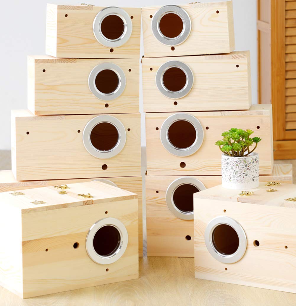 Premium Pine Wood Parakeet Nest Box - XL Size Bird House for Budgies, Lovebirds, Cockatiels & Parrotlets | Safe Breeding & Mating Shelter | Perfect for Aviaries, Bird Cages & Outdoor Use
