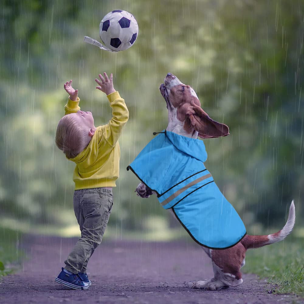 Waterproof Hooded Dog Raincoat - Adjustable Reflective Pet Jacket for Small to X-Large Dogs | Lightweight Dog Poncho for Rainy Day Walks & Outdoor Adventures (Blue, Large)