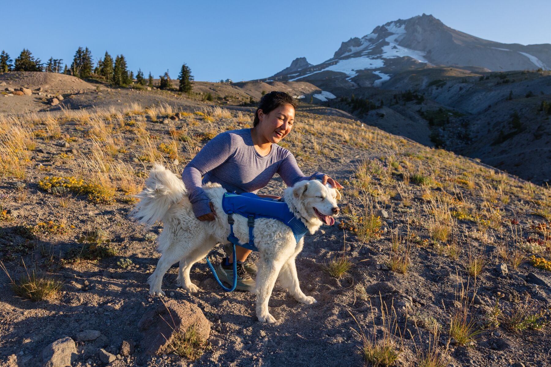 Ruffwear Dog Running Vest - Trail Runner Reflective Dog Vest for Hiking & Outdoor Adventures, Blue Pool - Perfect for Active Dogs & Pet Owners