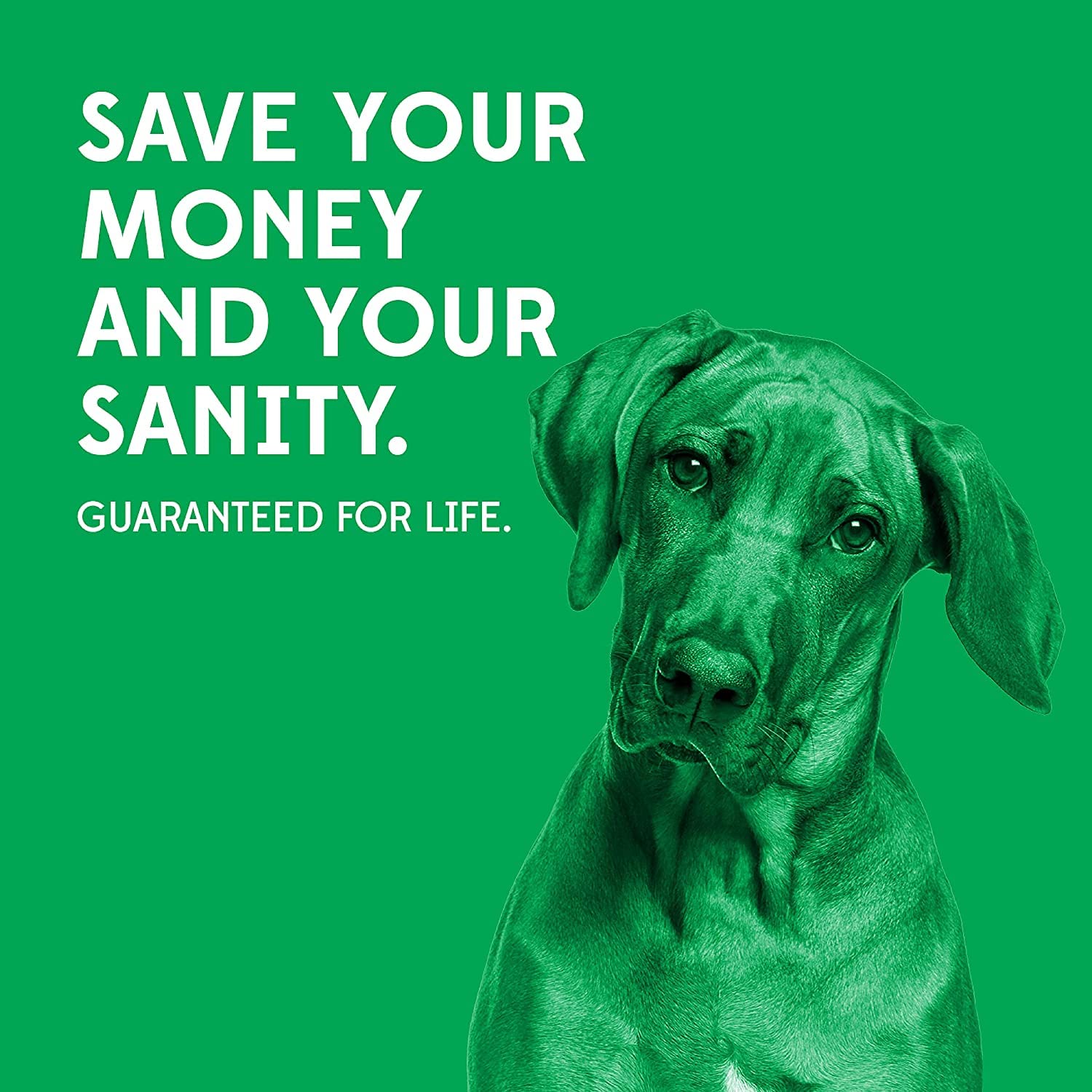 Goughnuts Indestructible Dog Chew Toy - Durable Rubber Ring for Extreme Power Chewers & Aggressive Dogs | Large Size (L) for 100+ Pound Dogs | Green Rubber Chew Toy | Perfect for Training, Anxiety Relief & Playtime