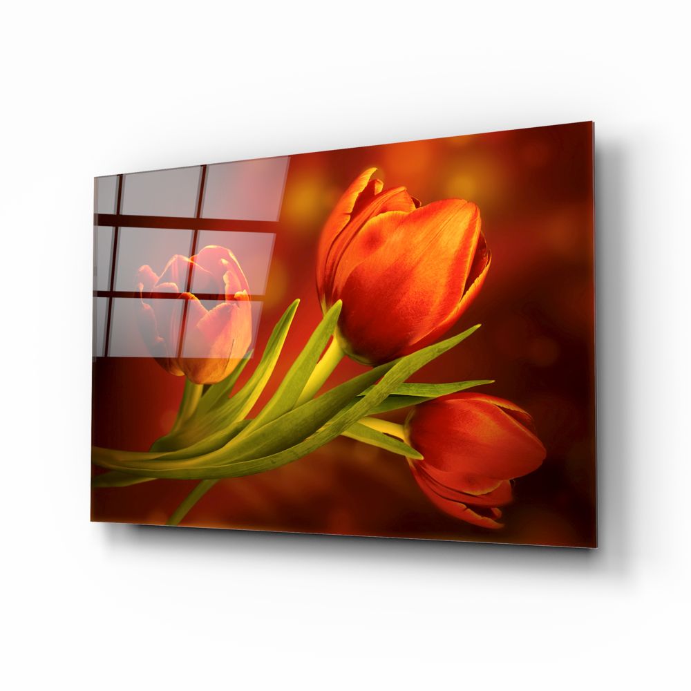 Premium Tulip Bulbs for Planting - Fresh Garden Flower Bulbs for Spring Blooms | Perfect for Home Gardens, Landscaping & Gift Giving