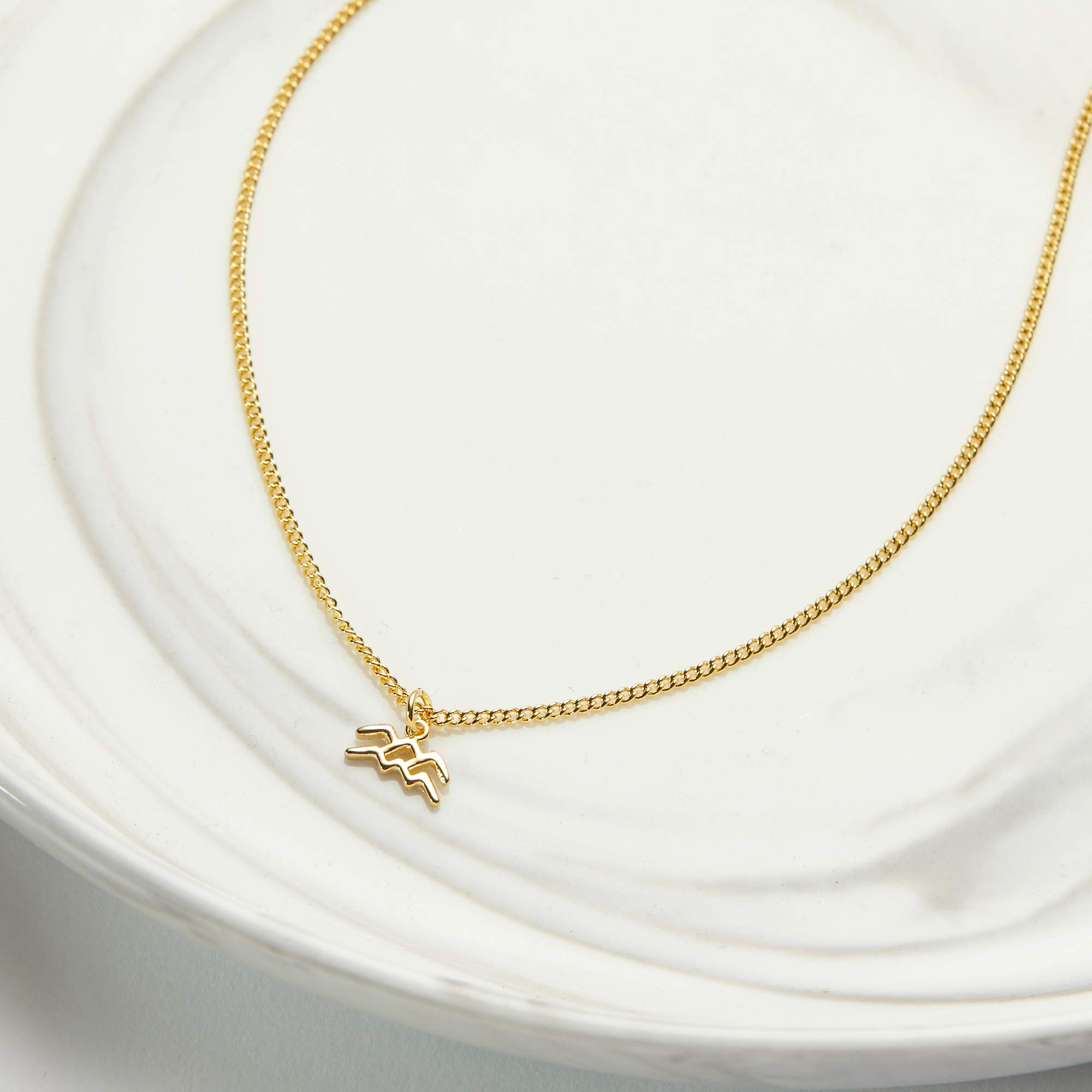 Dear Ava February Birthstone Necklace - Sterling Silver Heart Pendant Gift for Women, Valentine's Day, Anniversary & Birthday Jewelry | Romantic Present for Wife, Girlfriend, Mother | Perfect for Date Nights, Special Occasions & Everyday Wear
