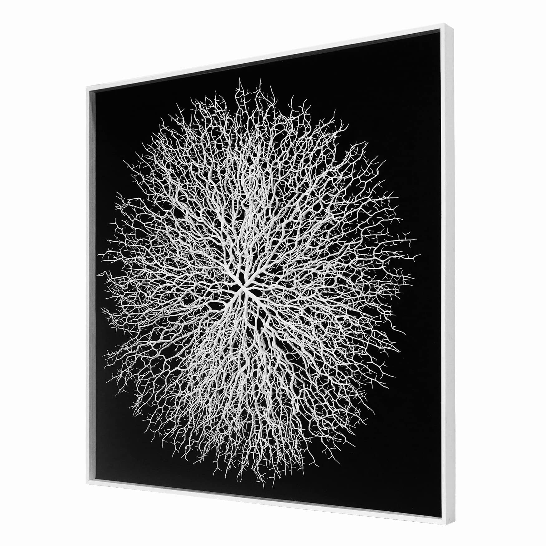 HUJI Tree Roots Shadow Box Wall Art - 3D Wooden Home Décor for Living Room, Bedroom & Office (Style B) | Unique Rustic Nature-Inspired Wall Hanging