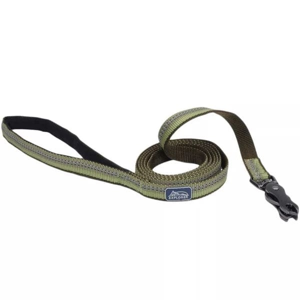 Durable Reflective Dog Leash with Scissor Snap - Strong Nylon Pet Leash for Medium & Large Dogs - Perfect for Night Walks, Jogging & Outdoor Adventures