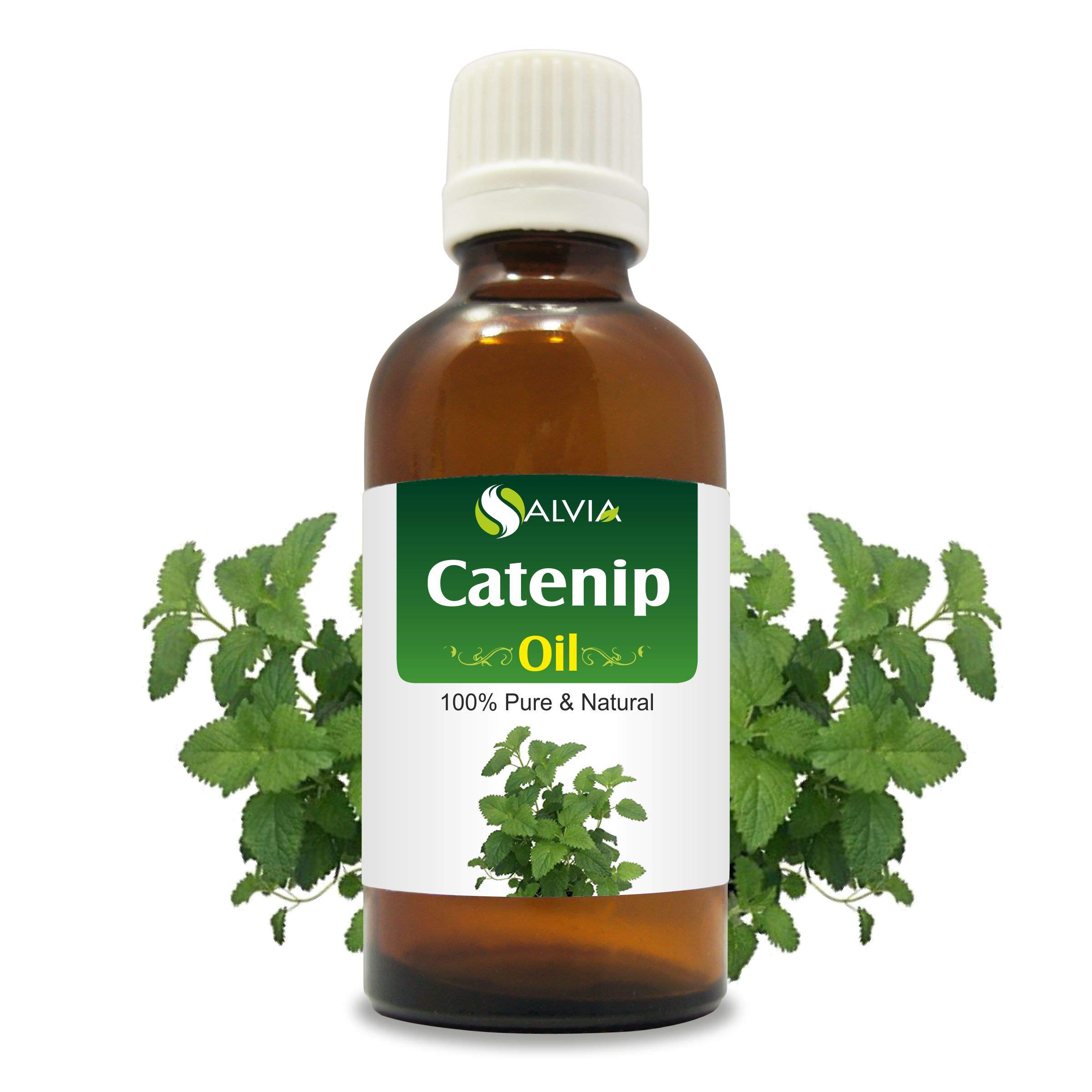 Pure & Natural Catnip (Nepeta cataria) Essential Oil - 100% Undiluted, Uncut Aromatherapy Oil for Relaxation & Stress Relief (30ml/1.01oz) - Perfect for Diffusers, Massage & Pet Enrichment