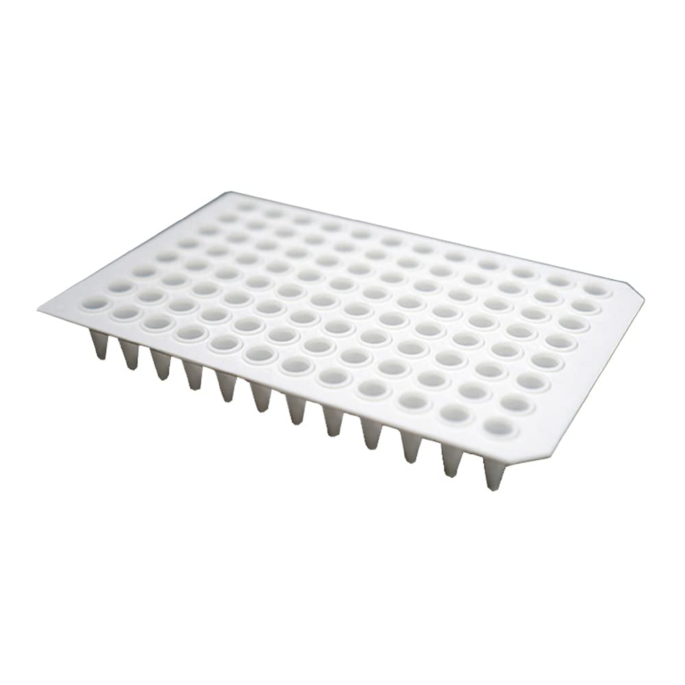 Nest Scientific 402111 96-Well PCR Plate - No Skirt, High-Quality Lab Equipment for DNA/RNA Amplification | Perfect for PCR Experiments, Genetic Research & Molecular Biology Labs