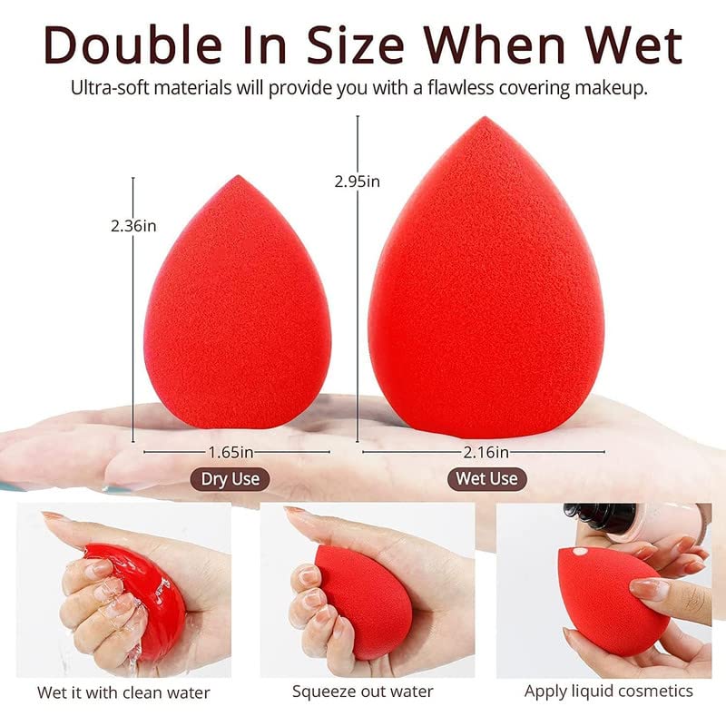Shidara Makeup Sponge Set - 5 Pack Beauty Blender with Storage Case for Flawless Foundation & Concealer Application | Perfect for Travel & Everyday Makeup