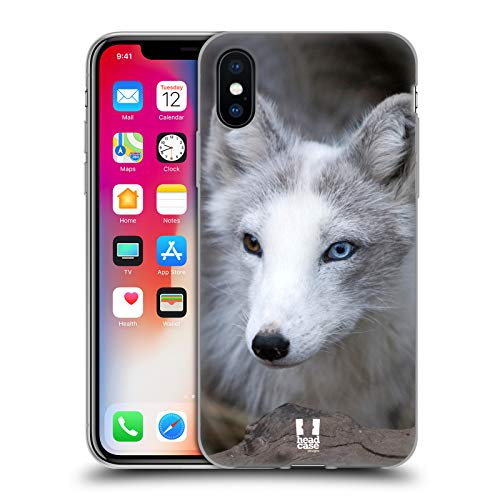 Coloured Eye Arctic Fox