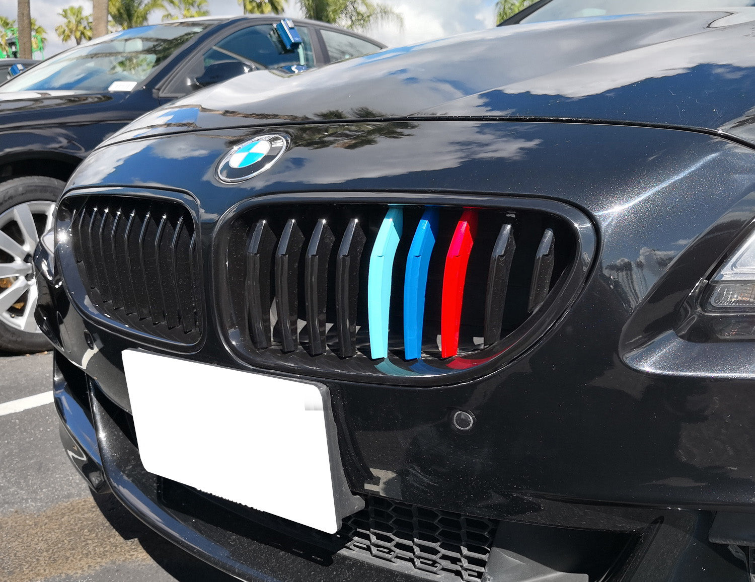BMW F12 F13 6 Series 640i 650i Coupe ///M Color Grille Insert Trims (2016-2018) - Front Bumper Upgrade for Enhanced Sporty Look - Perfect for Car Enthusiasts & Show Car Modifications