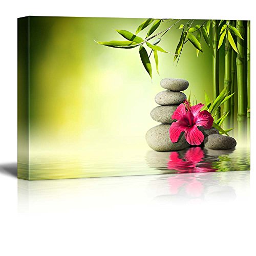 62. Rocks and a Hibiscus Flower-2