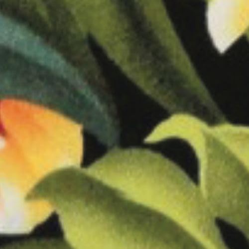Jungle