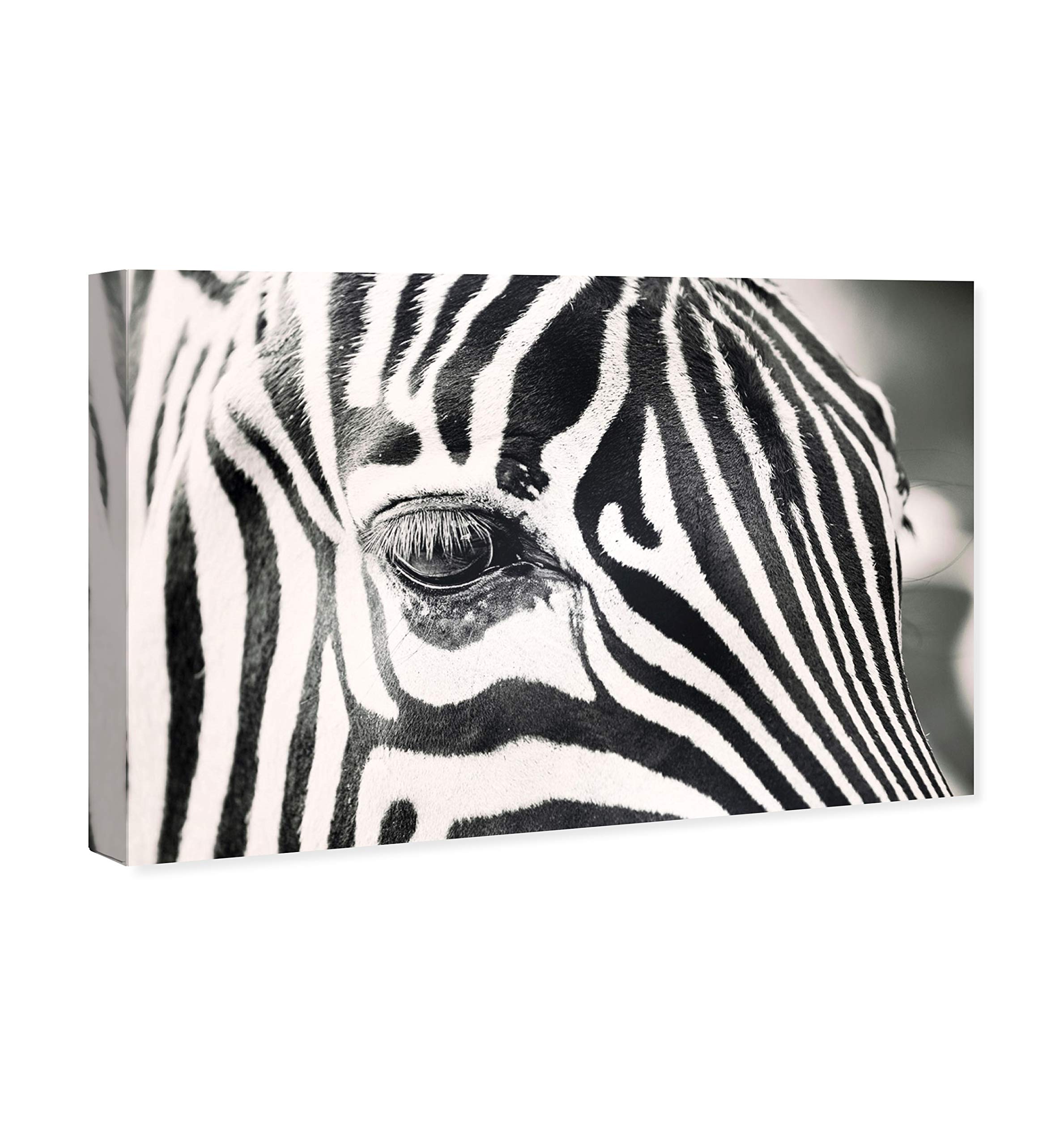 Oliver Gal Artist Co. Natural Stripes Animal Wall Art Canvas Print - 45x30 Inches Black & White Modern Home Decor | Perfect for Living Room, Bedroom & Office