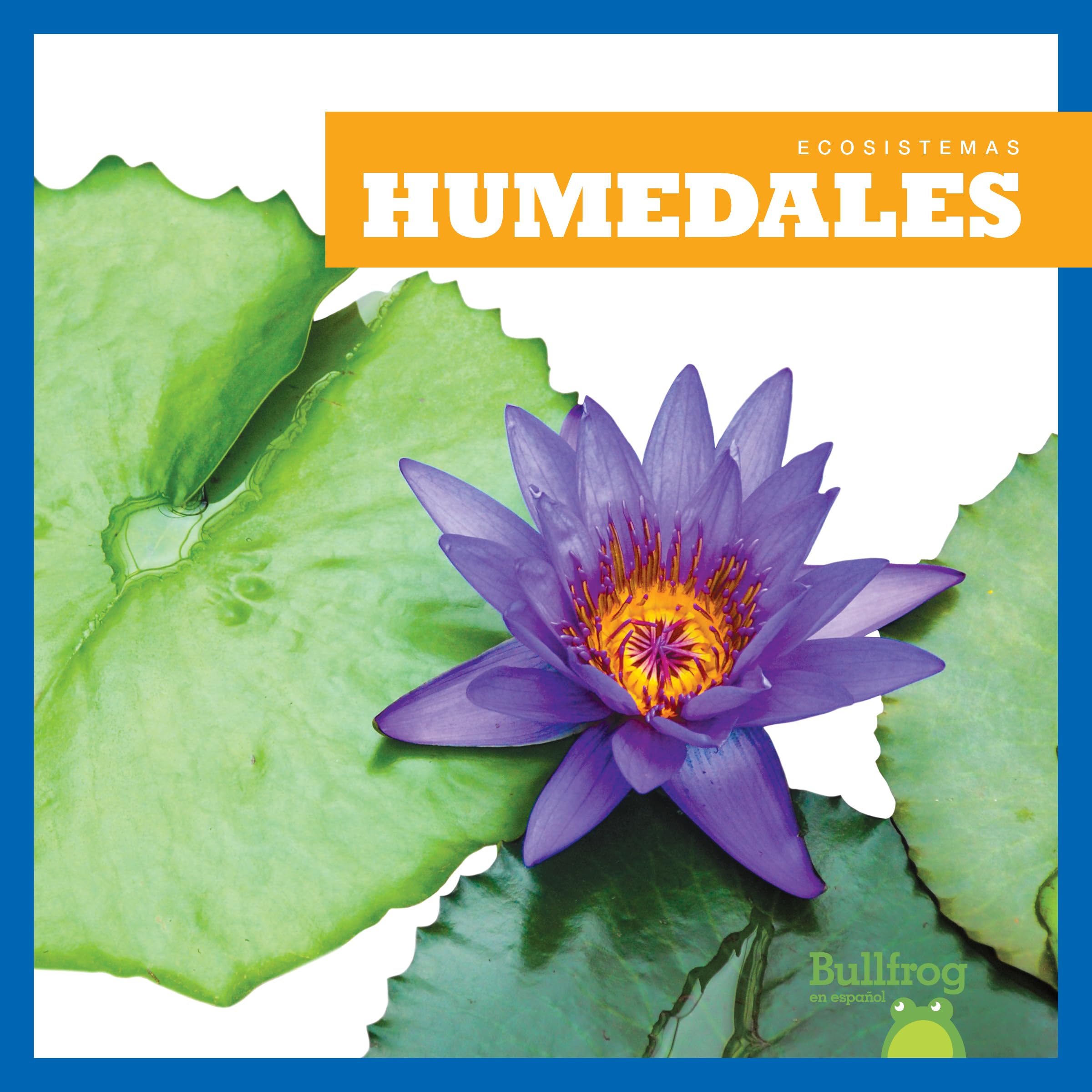 Wetlands (Bullfrog Books: Spanish Edition) - Ecosystems for Kids | Explore Nature & Learn About Wetland Habitats