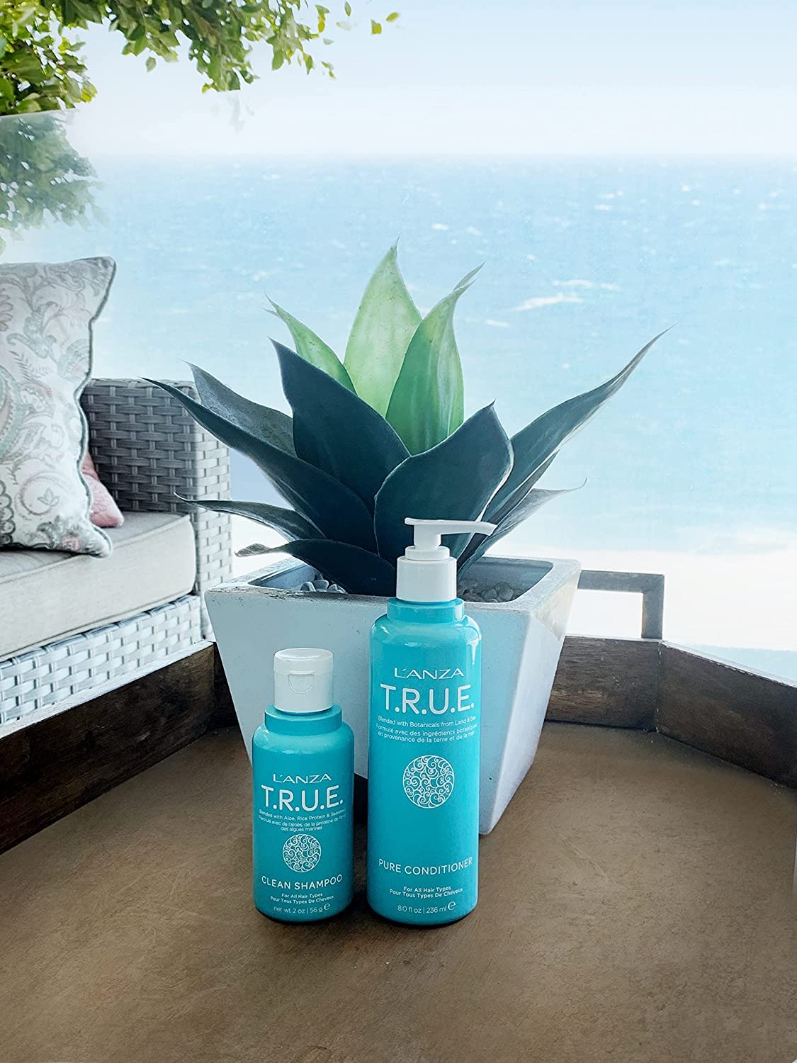 L'ANZA T.R.U.E. Clean Sustainable Shampoo with Aloe Vera & Rice Protein - Color Safe, Fragrance-Free Daily Hair Care for Fresh Clean Hair - Perfect for Color-Treated, Sensitive Scalp & Eco-Conscious Consumers