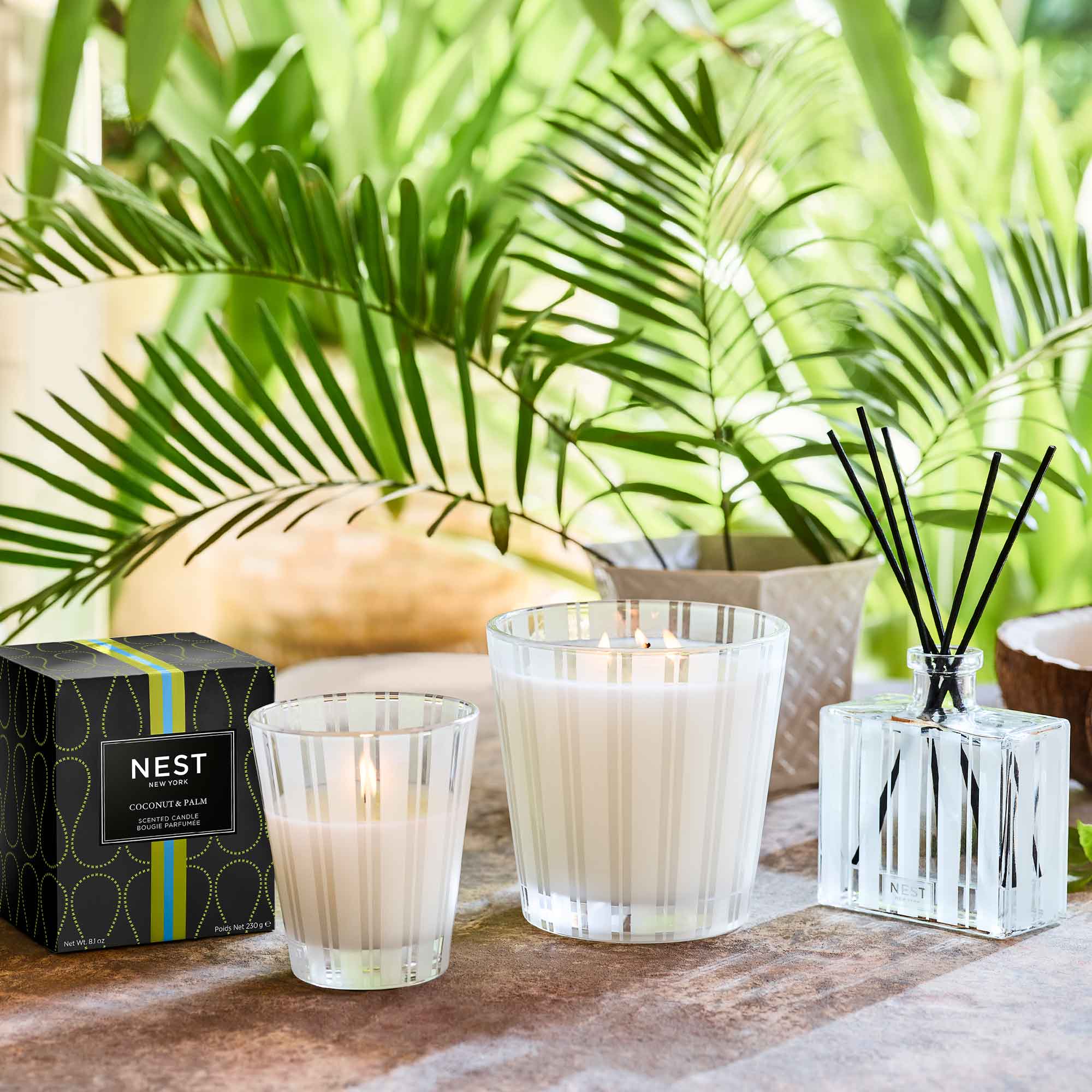 Premium Coconut & Palm Reed Diffuser Set - Natural Home Fragrance Oil for Relaxation - Perfect for Living Room, Bedroom, and Office Aromatherapy