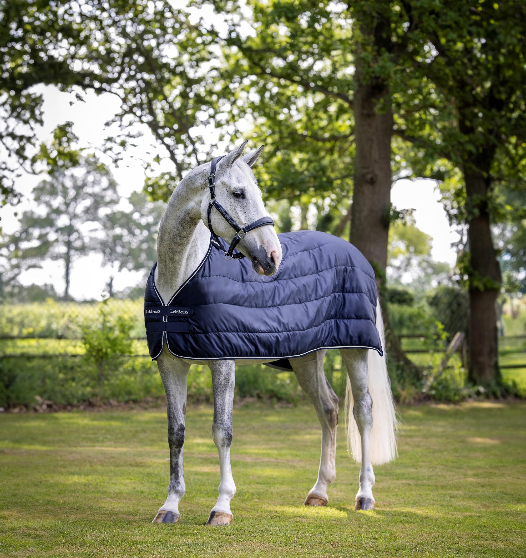 LeMieux 200g Breathable Horse Blanket Liner - Navy Blue 78