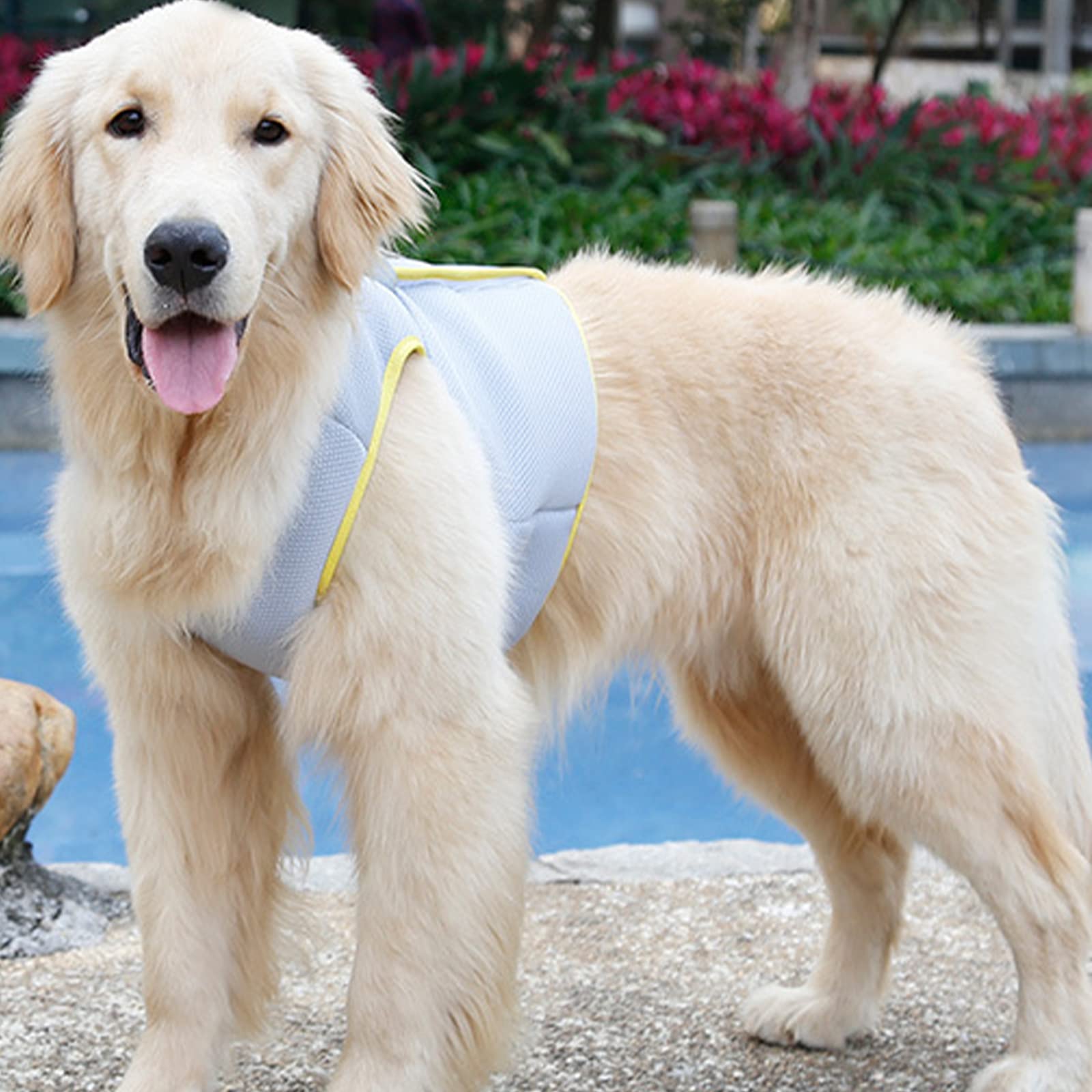 Lightweight Cooling Vest for Dogs - Breathable Dog Jacket for Small, Medium & Large Breeds | Perfect for Walking, Outdoor Adventures, Hunting, Training & Camping | Keep Your Pet Cool in Hot Weather
