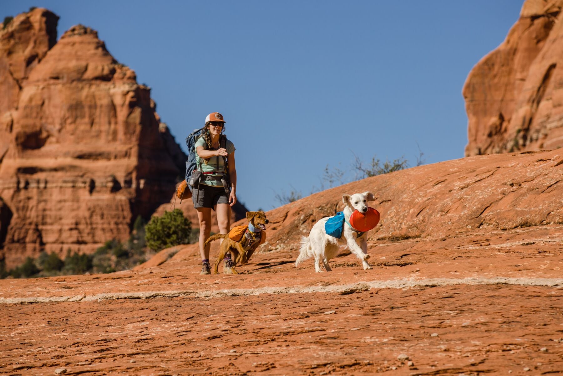 Ruffwear® Camp Flyer Disco Dog Bowl - Red Sumac - Durable & Non-Slip Pet Food Dish for Camping, Hiking & Outdoor Adventures