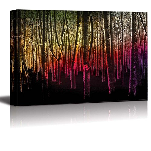 Forest Entrance
