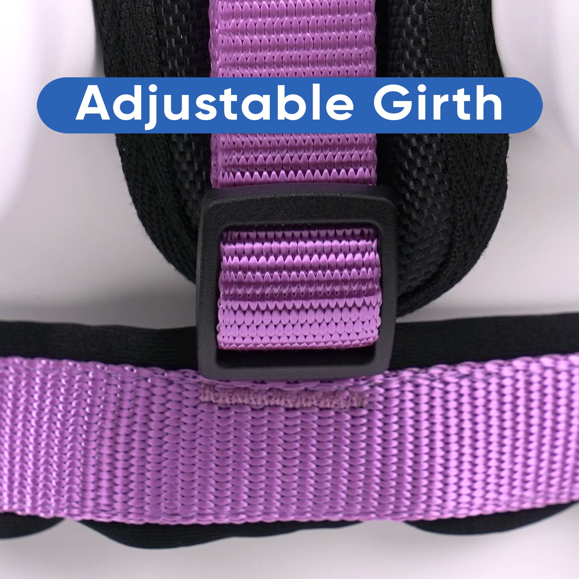 **Pawtitas Reflective Padded Dog Harness for Comfort & Control - Medium (M) Orchid Pet Vest - Ideal for Walking, Running & Nighttime Safety**