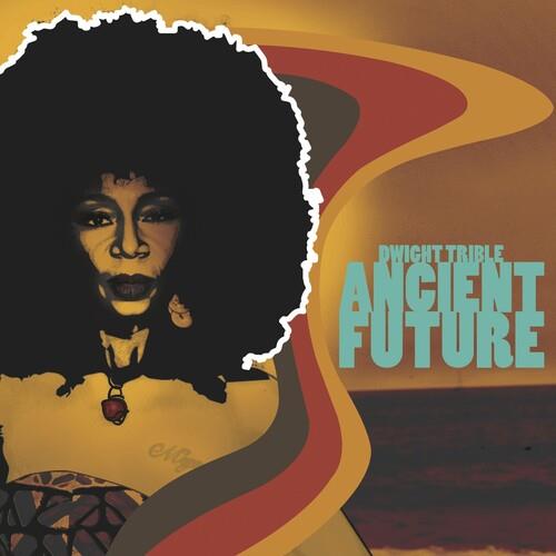 Ancient Future Vinyl LP - Limited Edition Retro Music Record for Collectors & Audiophiles - Perfect for Home Listening, DJ Sets & Vintage Music Enthusiasts