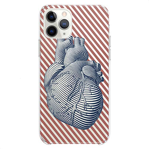 Anatomy Heart