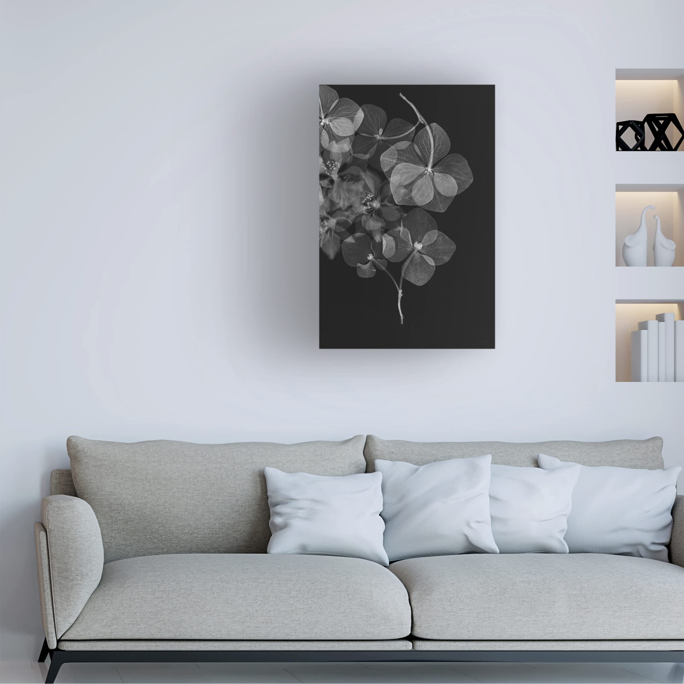 Trademark Fine Art 'Botanical 25' Canvas Wall Art Print by Lenka - Floral Home Decor for Living Room, Bedroom & Office