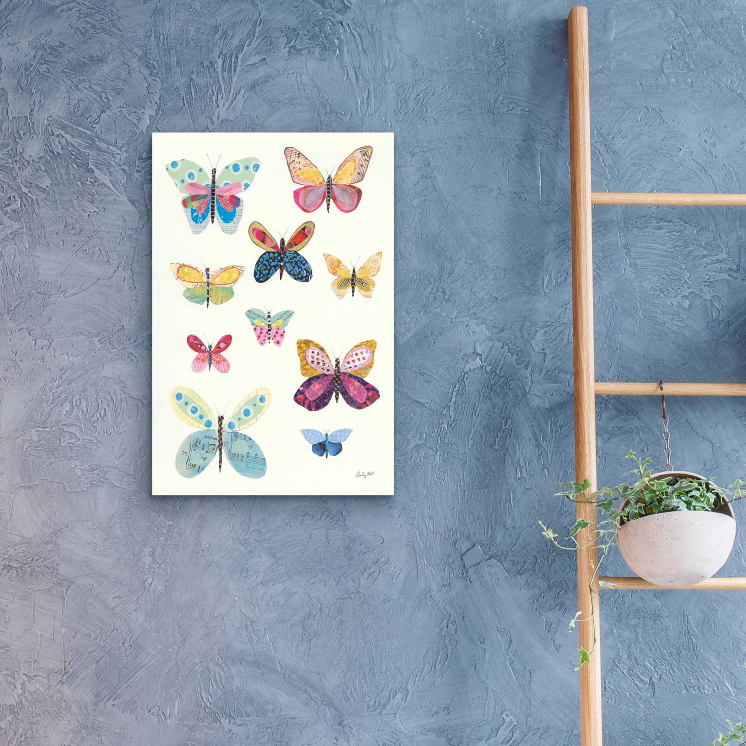 Courtney Prahl Butterfly Charts I - 16x24 Inch Acrylic Glass Wall Art Painting, Modern Abstract Home Decor for Living Room, Bedroom & Office
