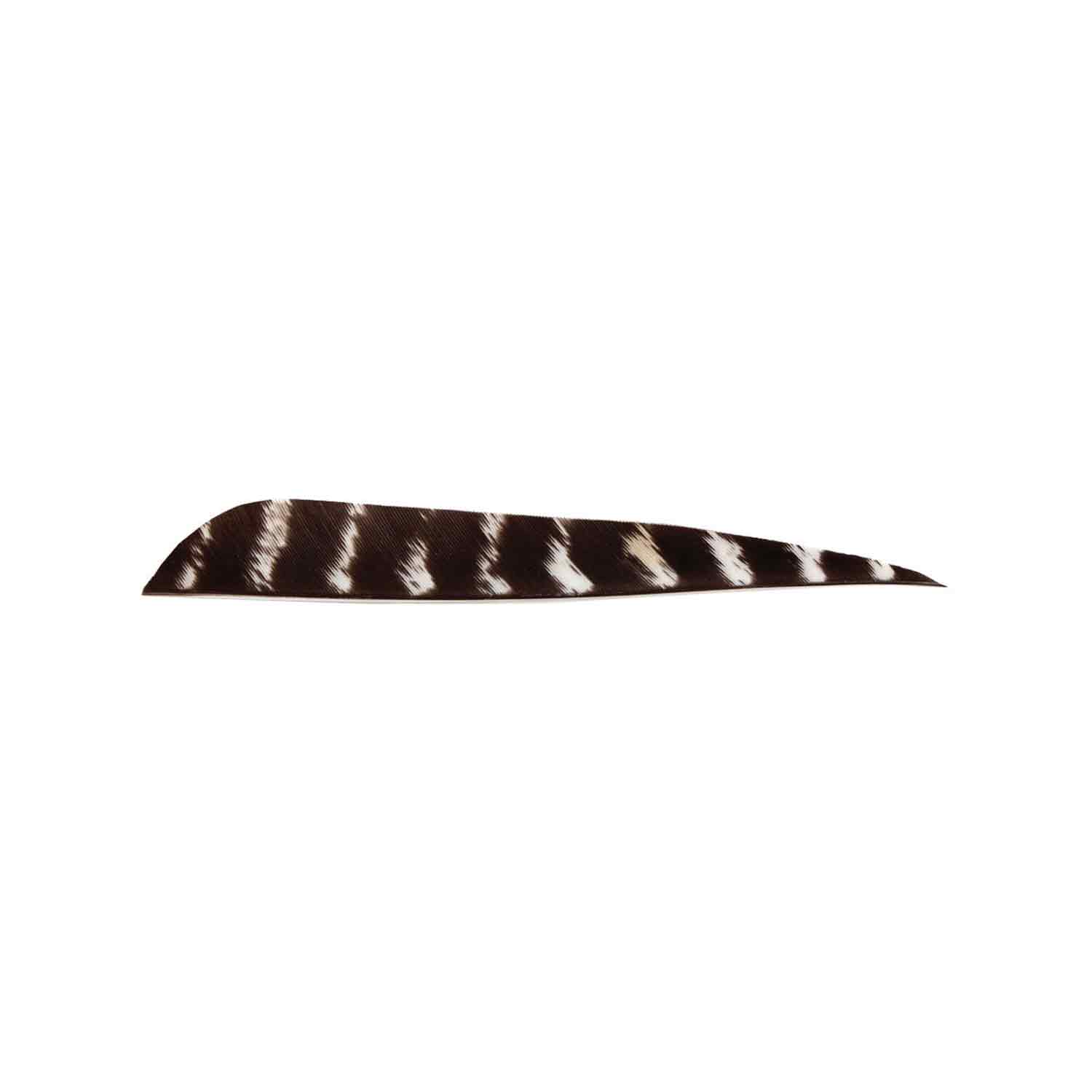 Bearpaw 5 Parabolic Natural Barred Feather - Premium Fly Tying Materials for Trout & Bass Fishing - Perfect for Streamers, Nymphs & Dry Flies