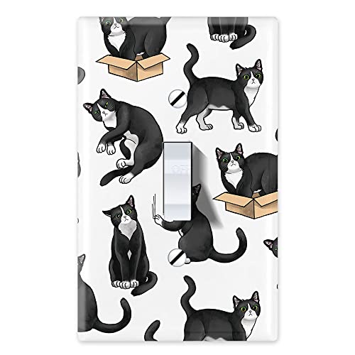 Black White Tuxedo Cat Playful Postures