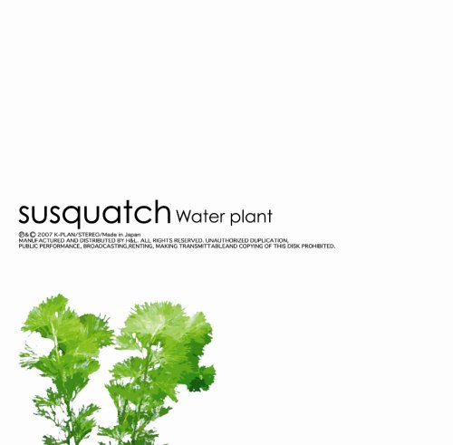Live Aquatic Plants for Aquariums & Fish Tanks - Freshwater & Low Light Plants for Beginners - Perfect for Home Decor, Aquascaping & Betta Fish Habitats