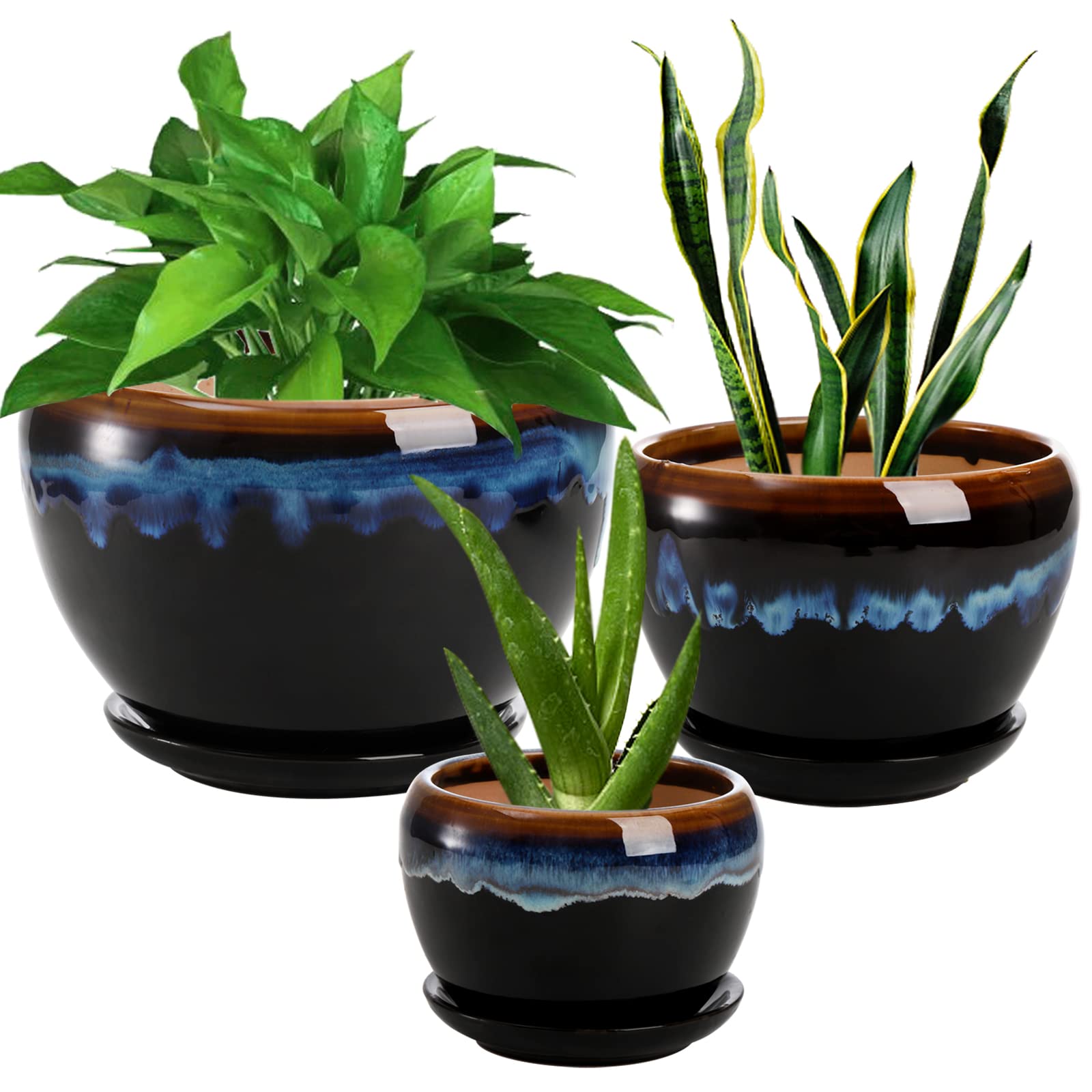AVLA 3 Pack Ceramic Flower Pots with Drainage Hole & Saucer - Rustic Glazed Planters for Succulents, Herbs, Cactus, Orchid - Indoor Gardening, Home Office & Desktop Decor - Perfect for Windowsill, Kitchen Counter, and Living Room Display