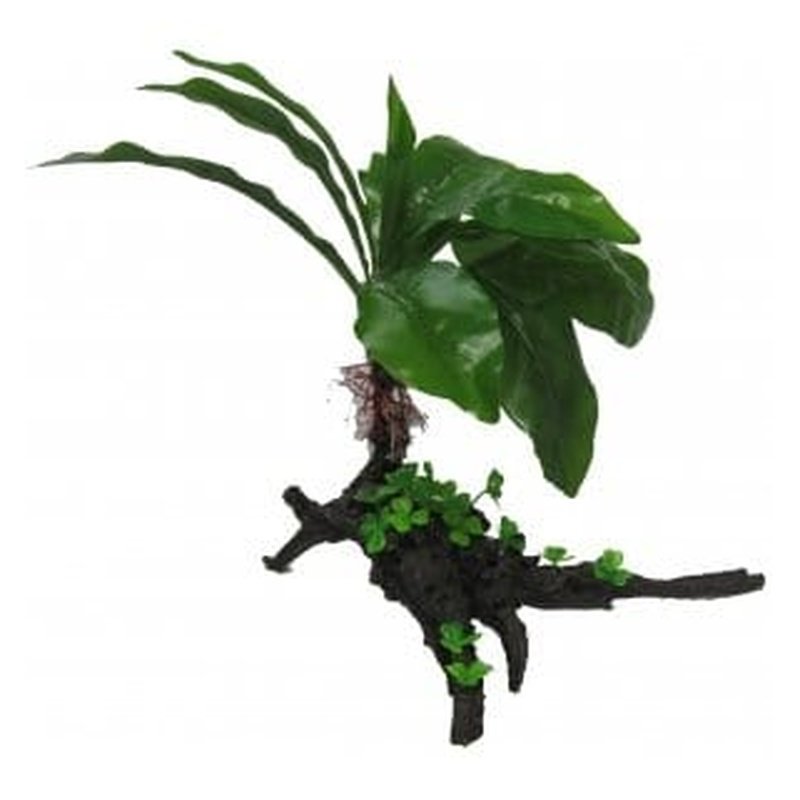 Amazon Jungle Giant Cardamine Tree 35cm - Realistic Artificial Plant for Home Decor, Office, Garden & Terrarium