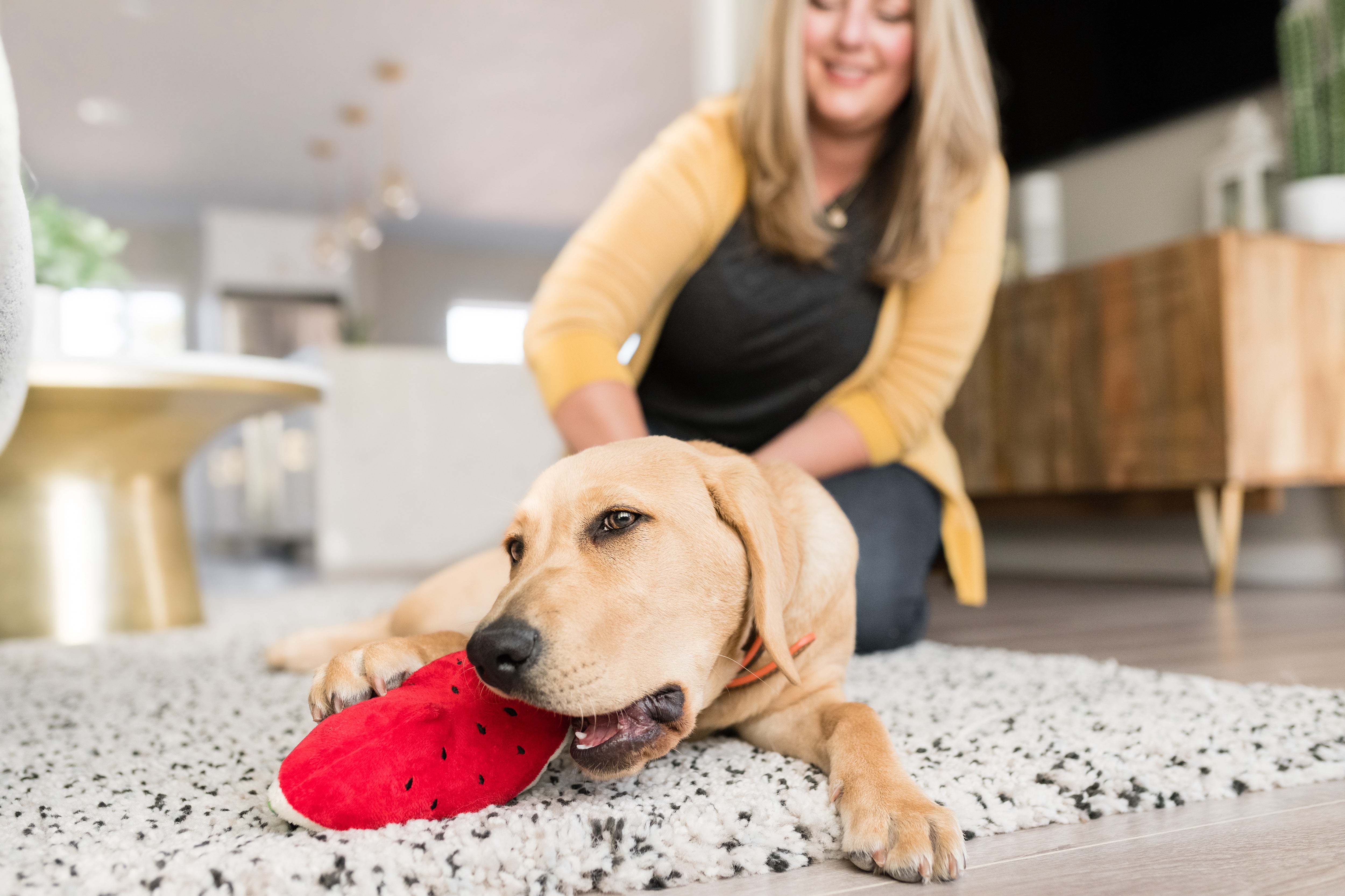 Tropical Paradise™ Watermelon Dog Plush Toy - Durable & Fun Chew Toy for Small & Large Dogs | Perfect for Playtime, Training & Cuddling | Pet P.L.A.Y.