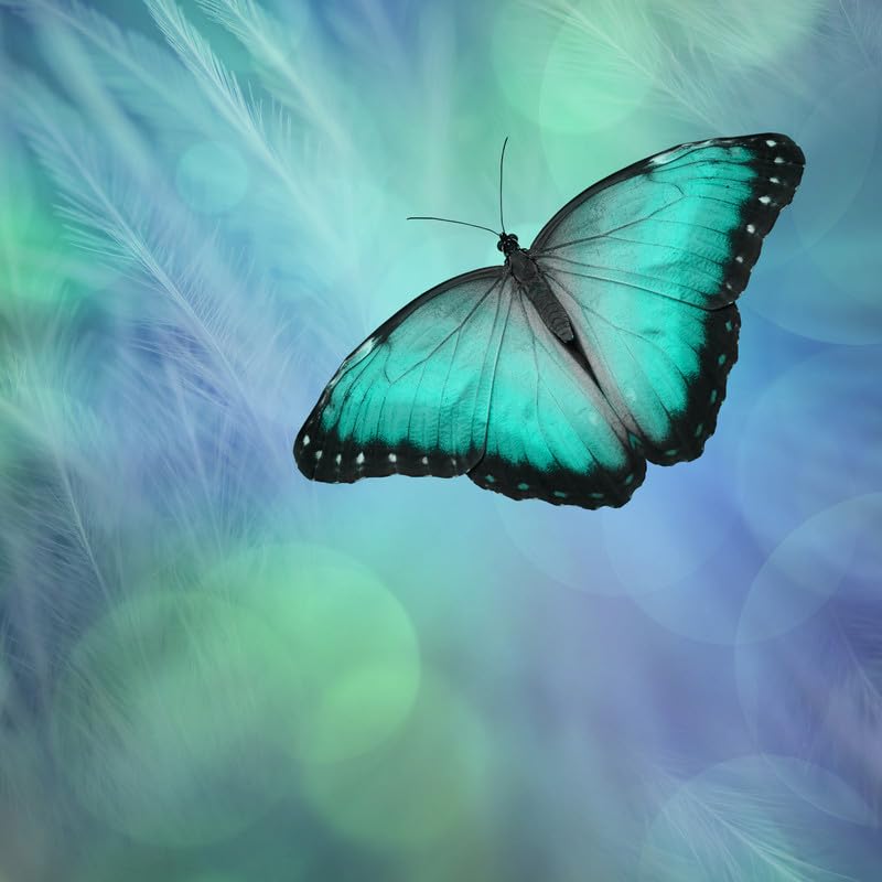 Bokeh Butterfly