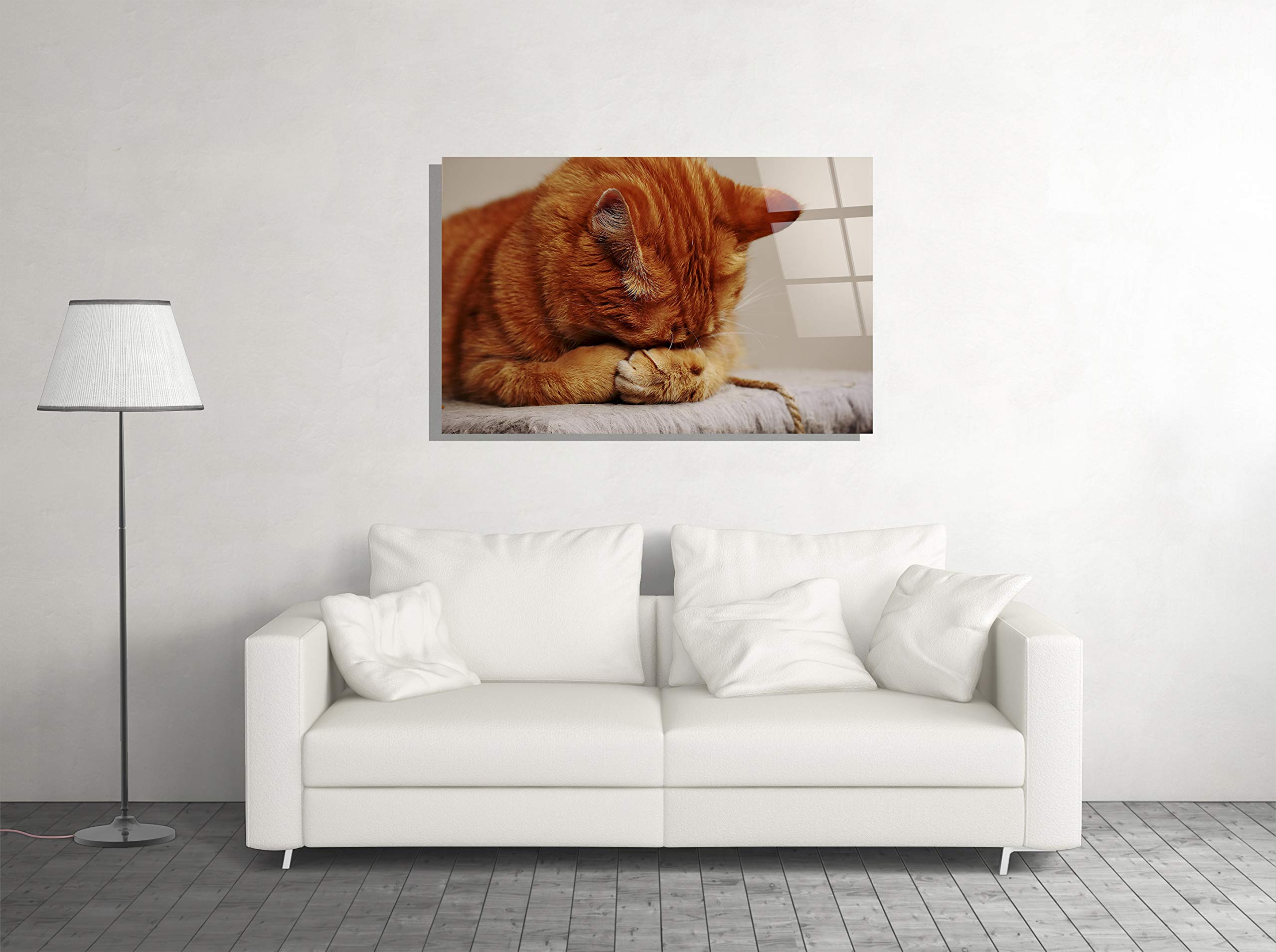Ginger Cat Tempered Glass Wall Art - Modern Animal Wall Decor for Home, Office & Hotel - Unique Gift Idea (24x36) - Perfect for Living Room, Bedroom & Workspace Decor