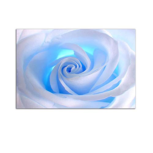 White Rose Flower