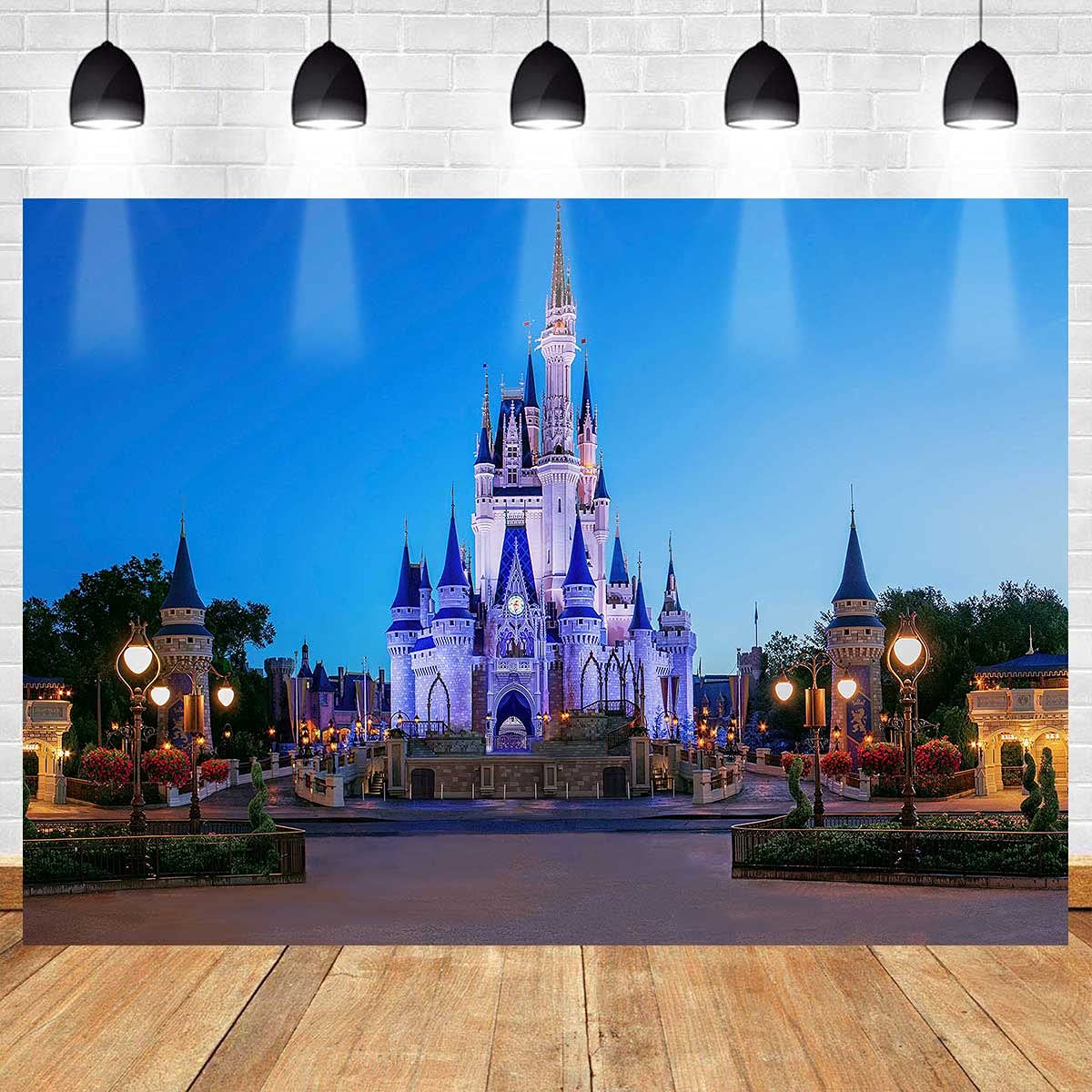 MEETSIOY 7x5ft Kids Cartoon Theme Park Backdrop - Sky Blue Playground Photography Background for Birthday Parties, Baby Showers & Events - Durable Party Decoration Banner ZYMT0937