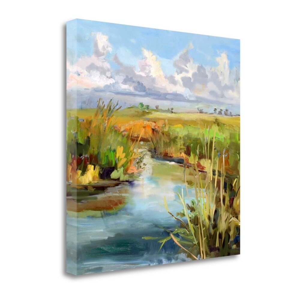 Afternoon Skies by Carol Hallock - Premium Fine Art Giclee Print on Gallery Wrap Canvas - Ready to Hang Wall Decor - Perfect for Living Room, Bedroom & Office