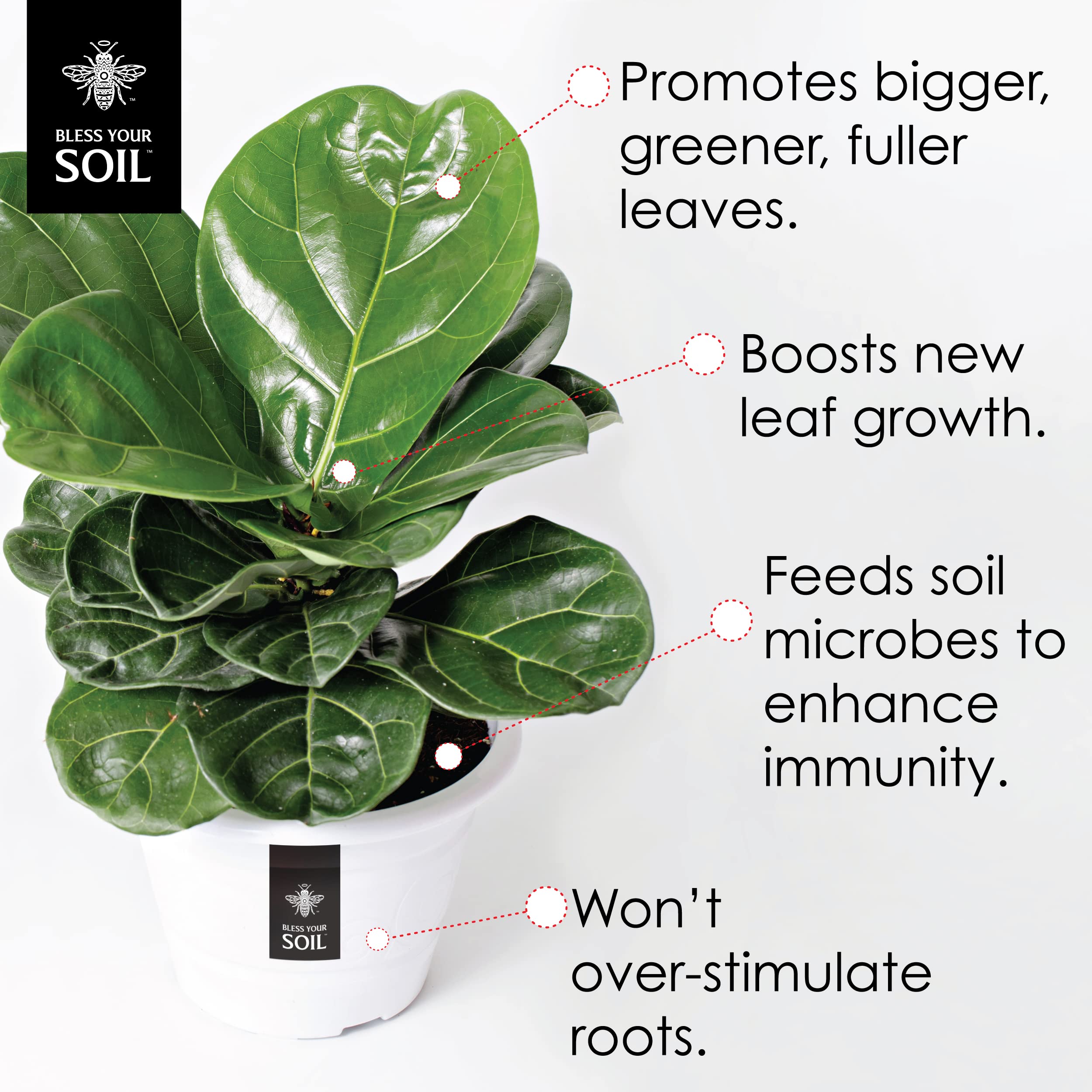 Premium Indoor & Outdoor Plant Fertilizer Bundle - 2 Pack Water Soluble Plant Food for Container Plants, Gardens & Flowers | Ideal for Houseplants, Vegetable Gardens & Flower Beds